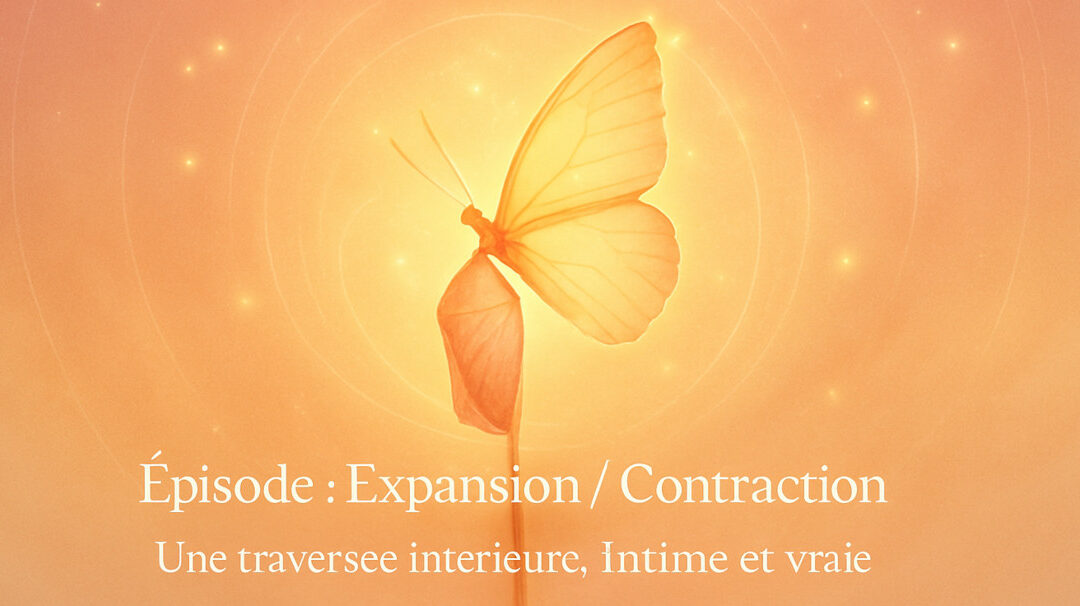 La contraction : ce repli sacré après la phase d’expansion