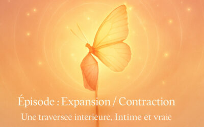 La contraction : ce repli sacré après la phase d’expansion